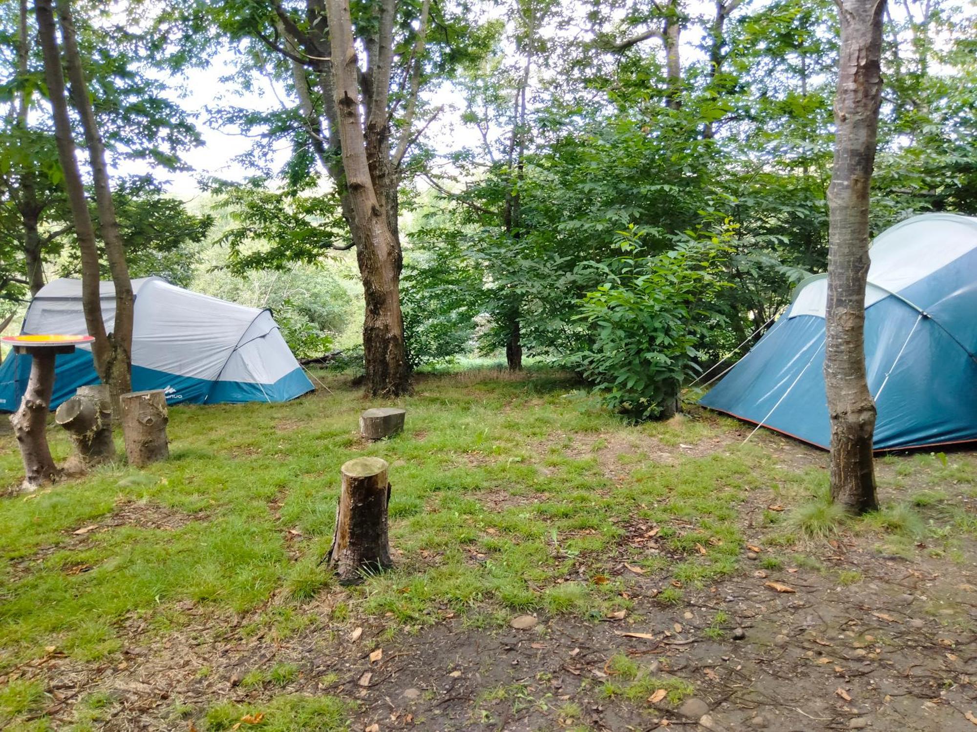 La Finca - Campamento En La Naturaleza Carranceja Rom bilde